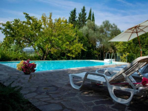 Apartment with large garden and pool on the hills of Pisa Ghizzano